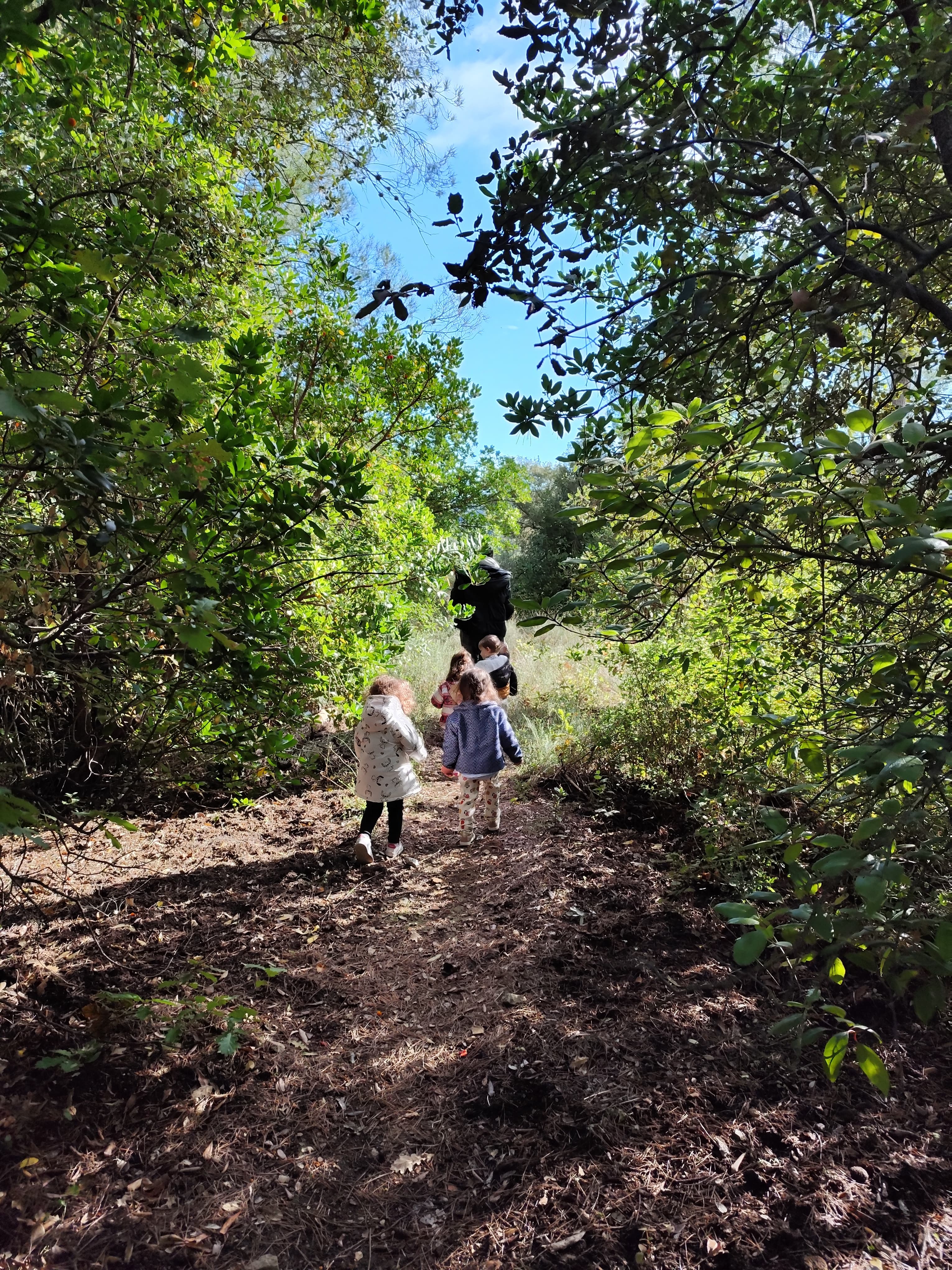 La nature au cœur du projet